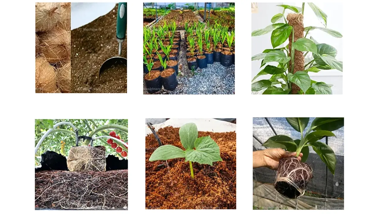 Aplicações hortícolas de blocos de turfa de coco prensados para cultivo em estufas, hidroponia e mudas em vasos